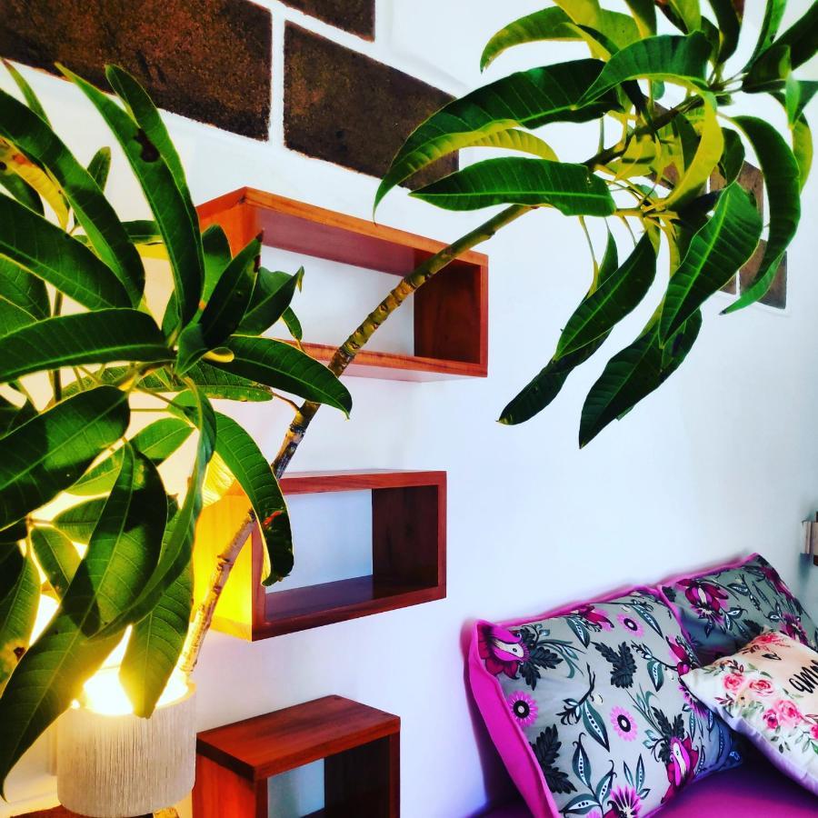 Anacardium Hotel Canoa Quebrada Buitenkant foto
